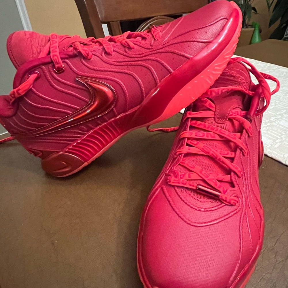 Nike crimson red sneakers LeBron James